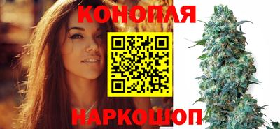 твердый Новодвинск