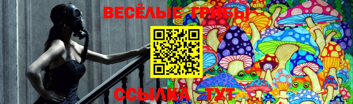 Псилоцибиновые грибы ЛСД Рубцовск