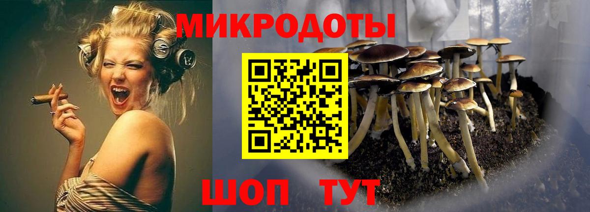 Рубцовск  Псилоцибиновые грибы Cubensis  Вход с VPN 